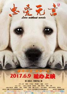 国产人与狗,探寻人类与动物和谐共生的奥秘